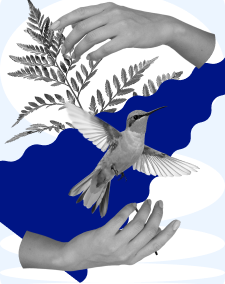 10 вебинаров от экспертов