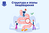 Структура и этапы пищеварения